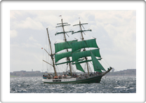 ALEXANDER V HUMBOLDT    8626886 