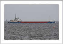 AMADEUS      9232498 