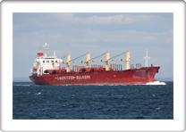 AMINE BULKER       9310599