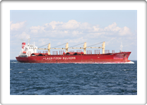 AMINE BULKER       9310599