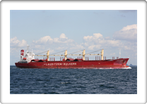 AMINE BULKER       9310599