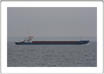 ARCTICA HAV    8403571 