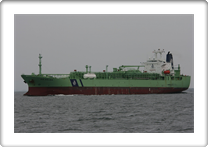 BW HELGA             9014432