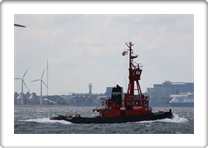 CALORIUS         8802052