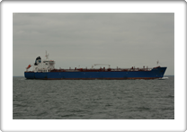 CPO ITALY            9353137