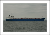 CPO ITALY            9353137 