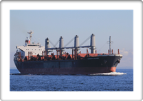 DANSHIP BULKER       9515682   9HA2171