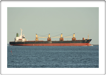 EMPEROR     8315009 