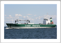 GREEN BERGEN         9143374 