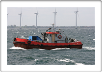 INA II       OU7446  
