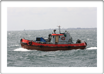 INA II       OU7446  