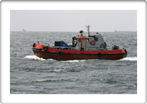 INA II       OU7446 