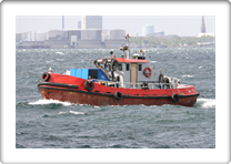 INA II       OU7446 