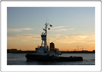JOULIUS          8802064  