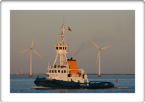 JOULIUS          8802064 