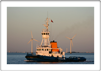 JOULIUS          8802064  