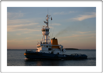 JOULIUS          8802064 