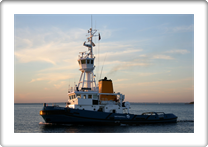 JOULIUS          8802064 