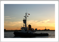 JOULIUS          8802064 