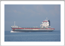 KONINGSBORG     9155925 