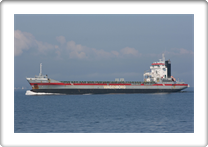 KONINGSBORG     9155925 