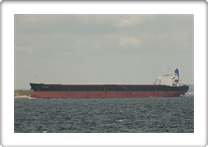 OBELIX BULKER     9170298 