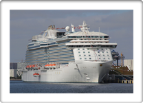 Regal Princess   9584724 