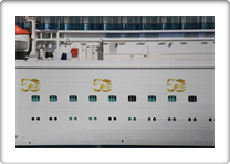 Regal Princess   9584724 