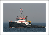 SEA ALFA       9466271