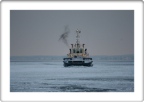 SVITZER MARS      9292852 