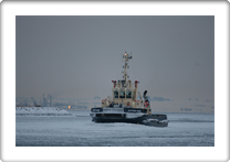 SVITZER MARS      9292852 