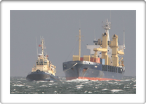 SVITZER NJAL         MIRVA           8411621 