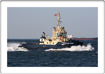 SVITZER MARS      9292852