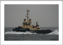 SVITZER MARS      9292852