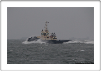 Svitzer Mars  