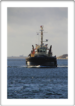 Svitzer Thor  