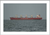 TILDA BULKER         9281944