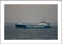 WILSON ALGECIRAS   9507350   9HA2471 